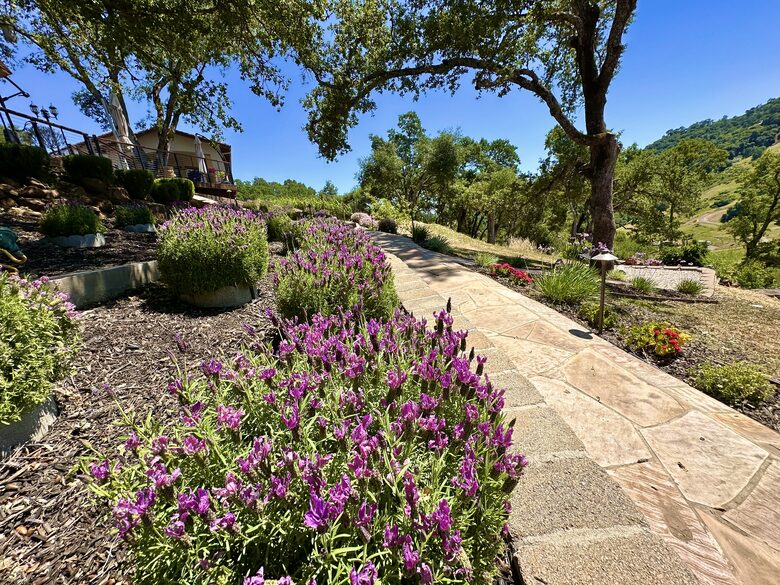 Hilltop Sanctuary in Napa - Napa, California