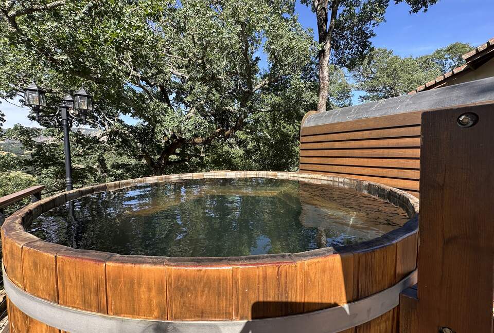 Hilltop Sanctuary in Napa - Napa, California