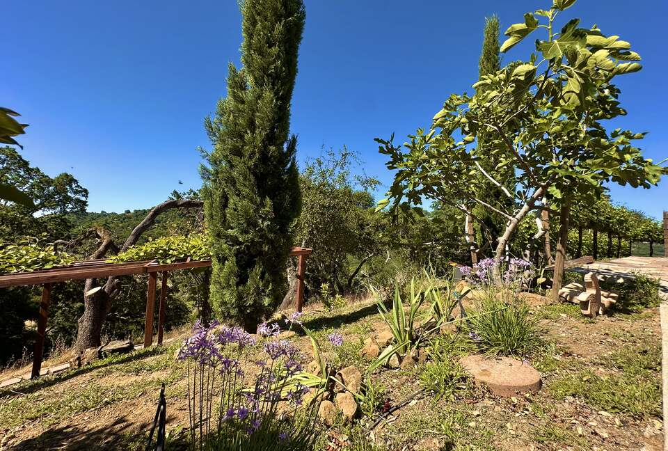 Hilltop Sanctuary in Napa - Napa, California