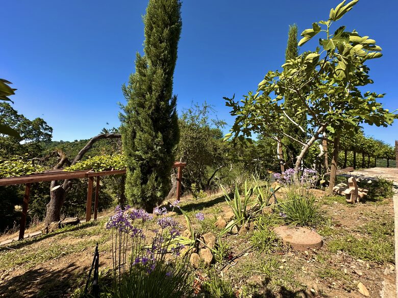 Hilltop Sanctuary in Napa - Napa, California