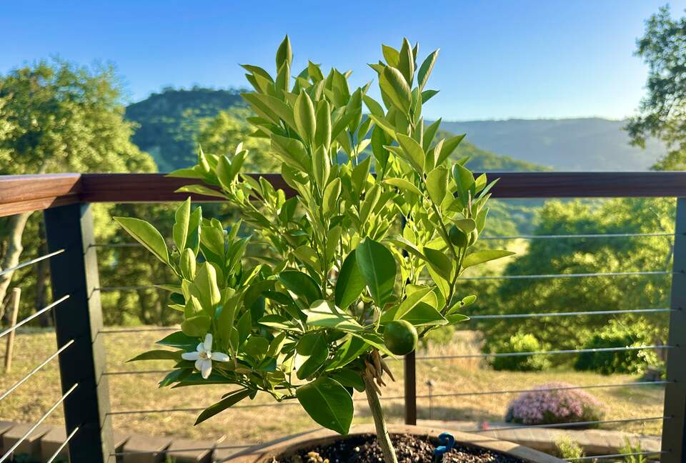 Hilltop Sanctuary in Napa - Napa, California