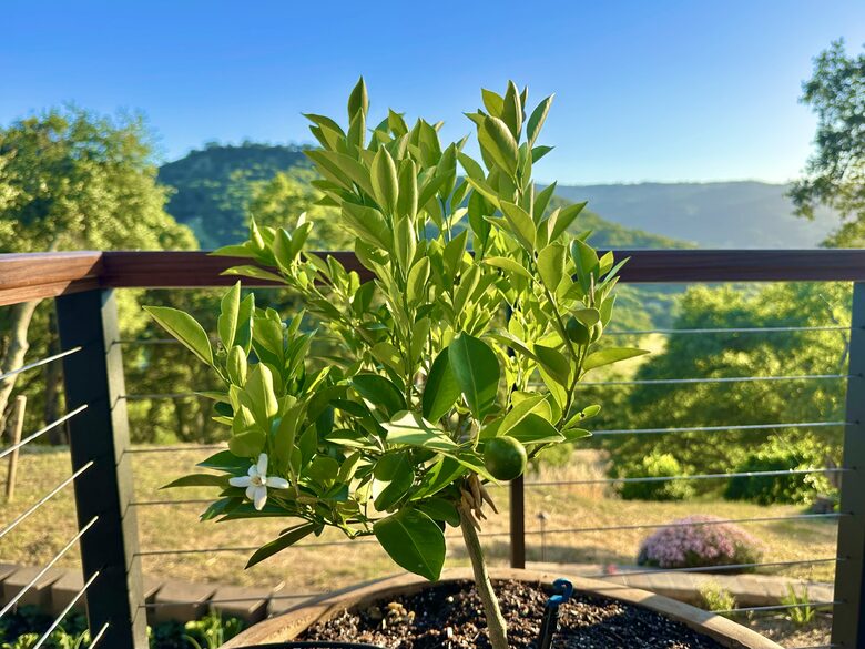 Hilltop Sanctuary in Napa - Napa, California
