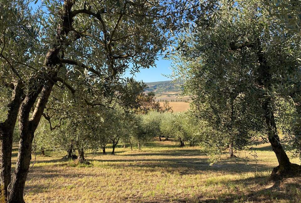 1 Bedroom Apartment Overlooking Lajatico’s Historic Square - Lajatico, Italy