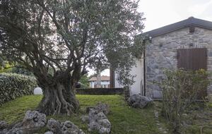Hillside Elegance with Private Pool - Fortunago, Italy