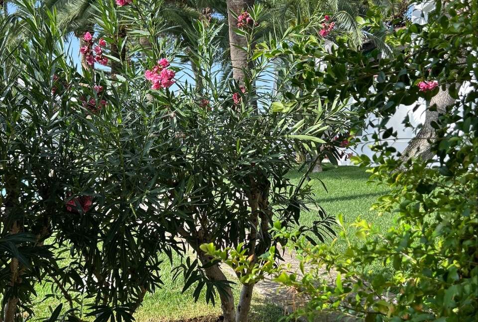 Inviting Menorcan Escape with Pool Access - Ciutadella de Menorca, Spain