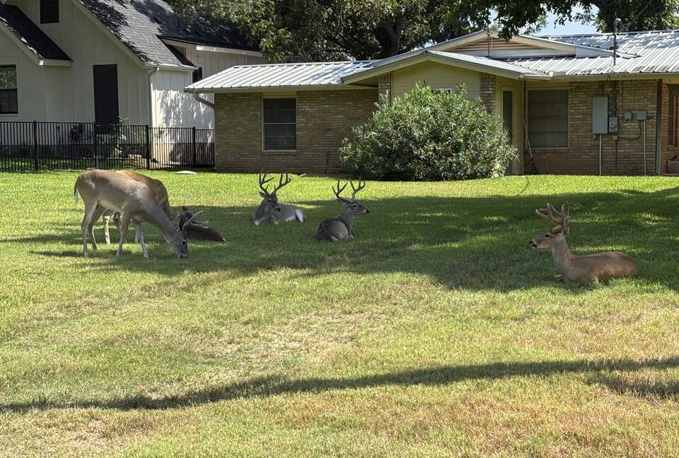 Waterfront Luxury on Lake LBJ | Dock, Outdoor Kitchen & Sunset Views - Horseshoe Bay, Texas