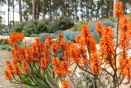Mistletoe Lakehouse in the Heart of the Hunter Valley - Pokolbin, Australia