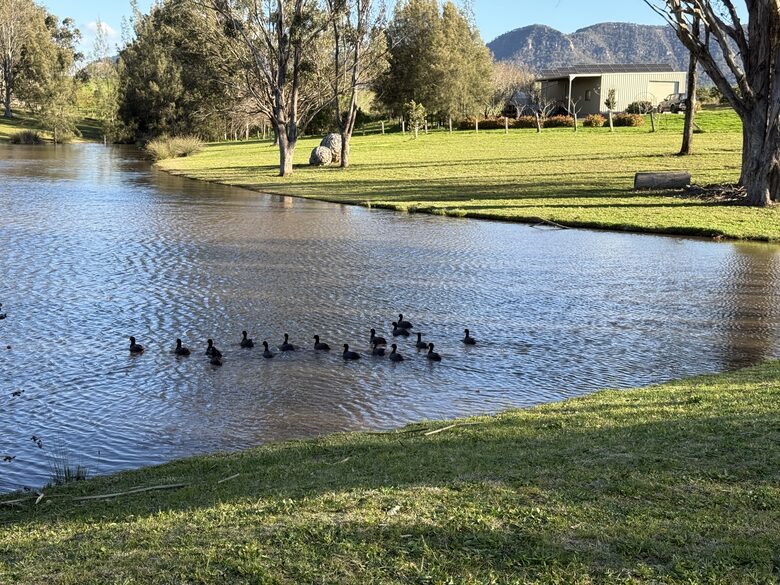 Mistletoe Lakehouse in the Heart of the Hunter Valley - Pokolbin, Australia