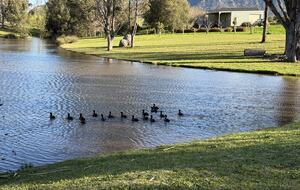 Mistletoe Lakehouse in the Heart of the Hunter Valley - Pokolbin, Australia