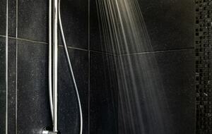 Private Garden Haven in Peregian Springs - Peregian Springs, Australia