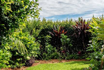 Private Garden Haven in Peregian Springs - Peregian Springs, Australia