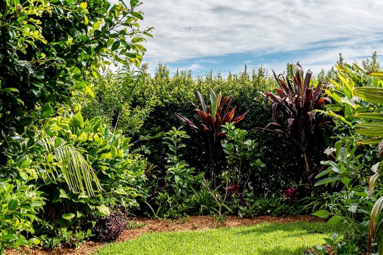 Private Garden Haven in Peregian Springs - Peregian Springs, Australia