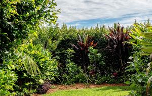 Private Garden Haven in Peregian Springs - Peregian Springs, Australia