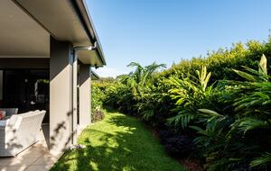 Private Garden Haven in Peregian Springs - Peregian Springs, Australia