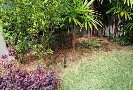 Private Garden Haven in Peregian Springs - Peregian Springs, Australia