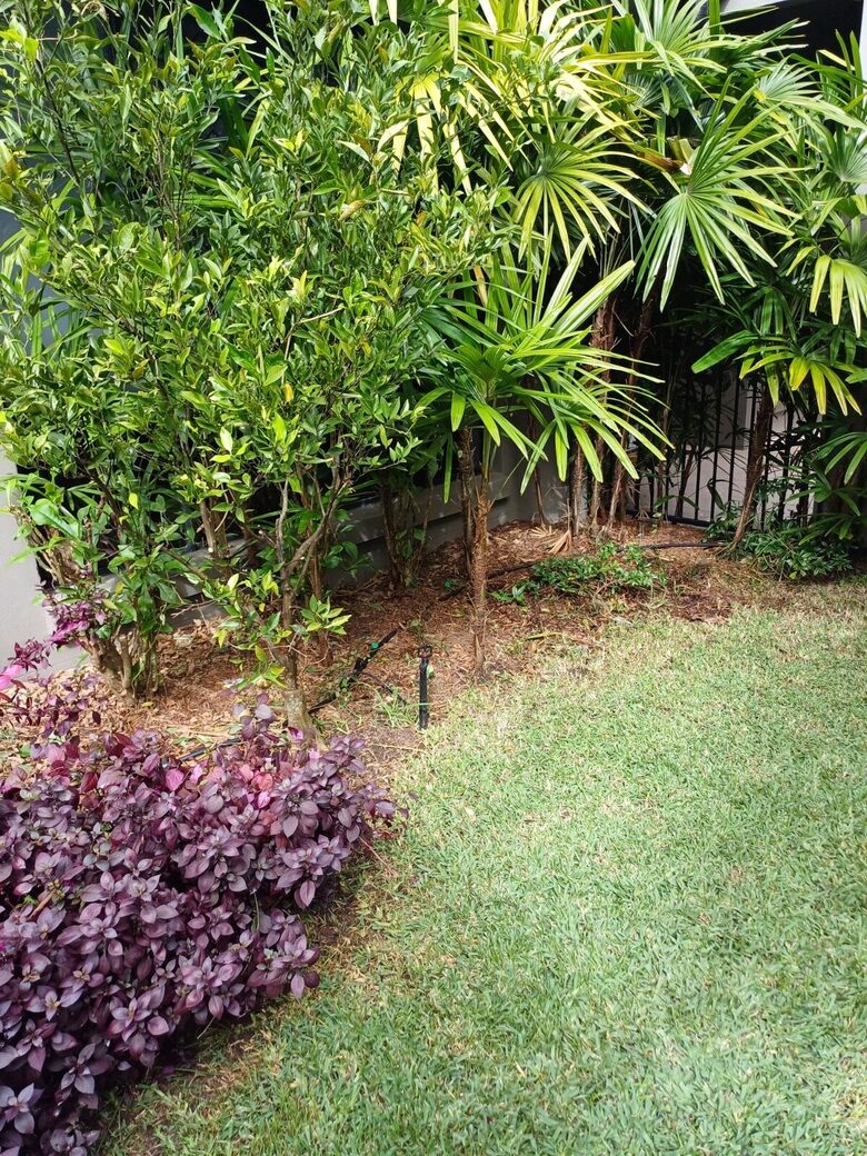 Private Garden Haven in Peregian Springs - Peregian Springs, Australia