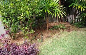 Private Garden Haven in Peregian Springs - Peregian Springs, Australia