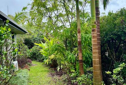 Private Garden Haven in Peregian Springs - Peregian Springs, Australia