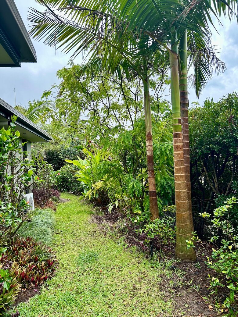 Private Garden Haven in Peregian Springs - Peregian Springs, Australia