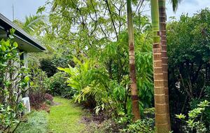 Private Garden Haven in Peregian Springs - Peregian Springs, Australia