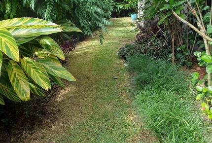 Private Garden Haven in Peregian Springs - Peregian Springs, Australia