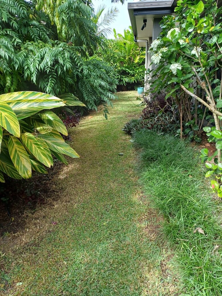 Private Garden Haven in Peregian Springs - Peregian Springs, Australia