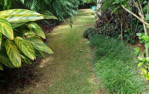 Private Garden Haven in Peregian Springs - Peregian Springs, Australia