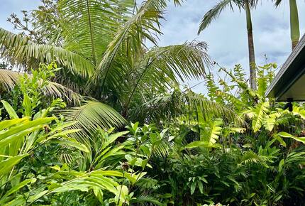 Private Garden Haven in Peregian Springs - Peregian Springs, Australia