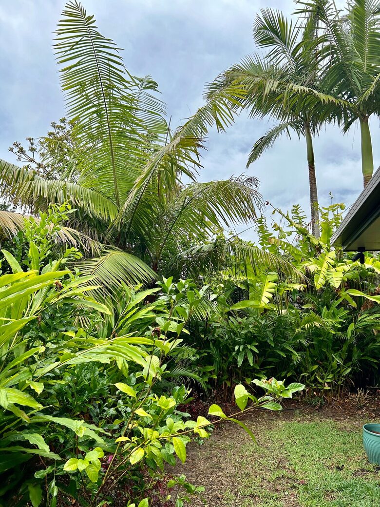 Private Garden Haven in Peregian Springs - Peregian Springs, Australia