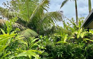 Private Garden Haven in Peregian Springs - Peregian Springs, Australia