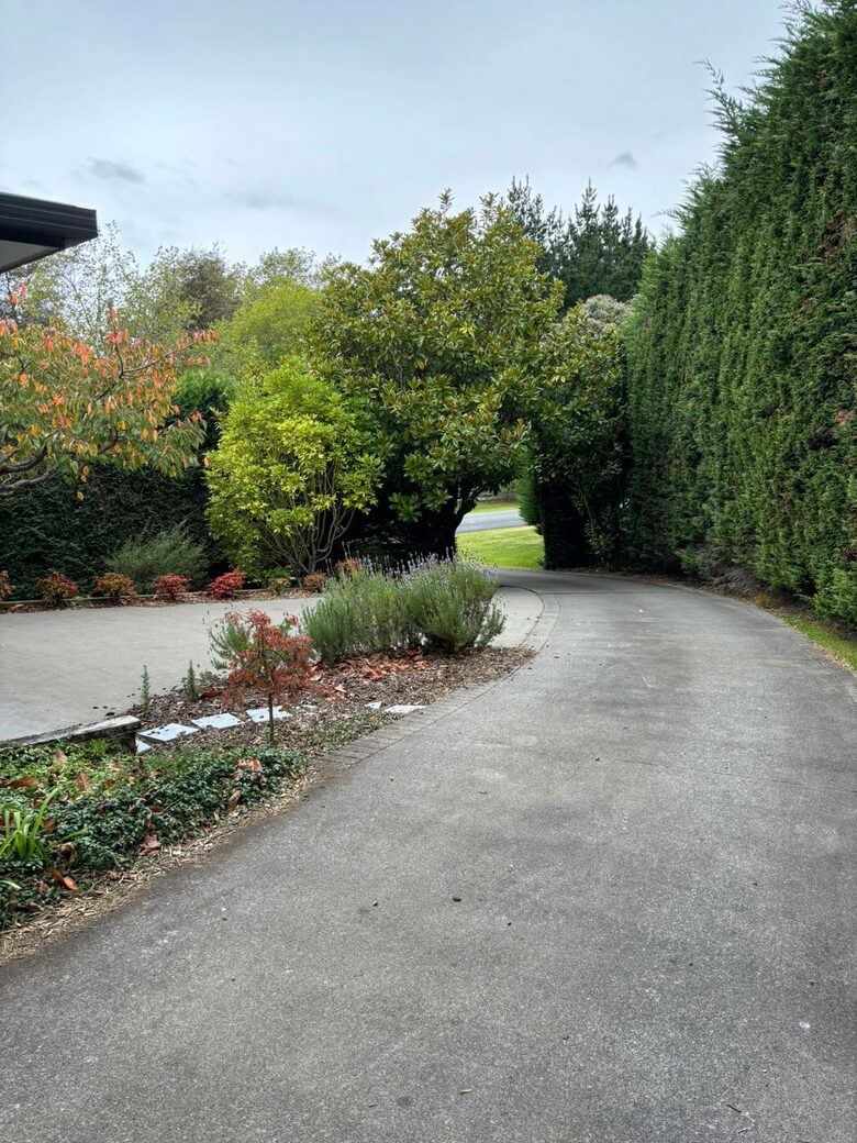 Sunlit Serenity on the Kapiti Coast - Paraparaumu, New Zealand