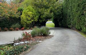 Sunlit Serenity on the Kapiti Coast - Paraparaumu, New Zealand