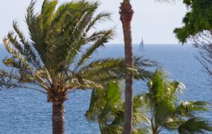 World-Class Marbella Townhome Beside Puente Romano - Marbella, Spain