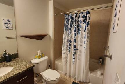 Urban Living in the Mile High City - Denver, Colorado