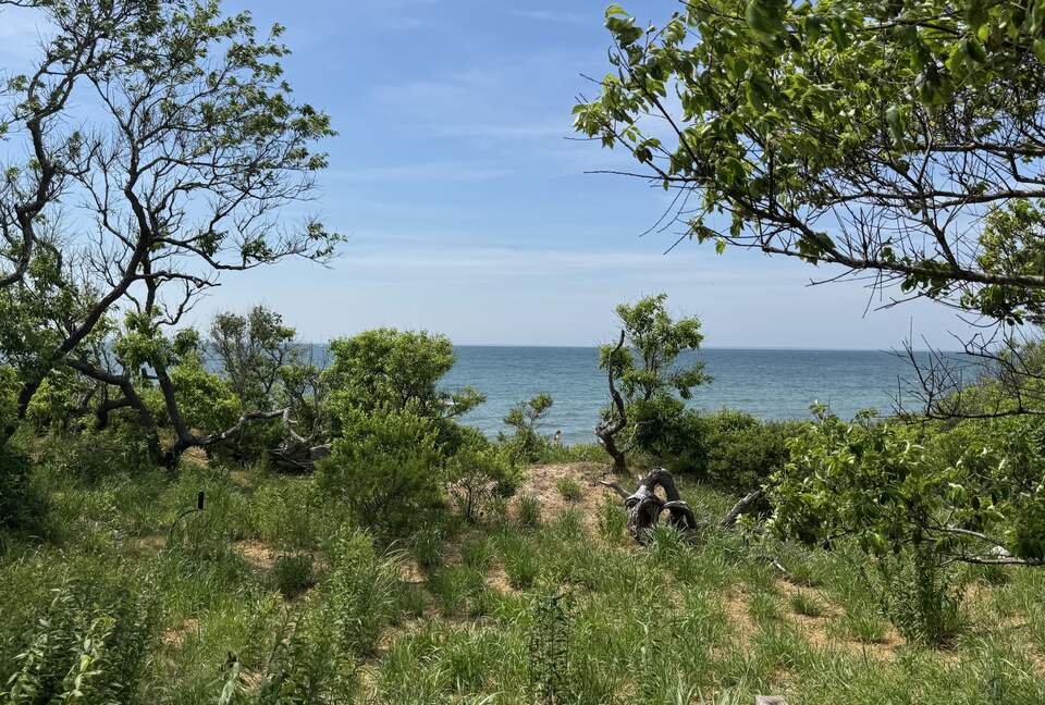 Cape Cod Elegance with Sunset Views over the Bay - Falmouth, Massachusetts