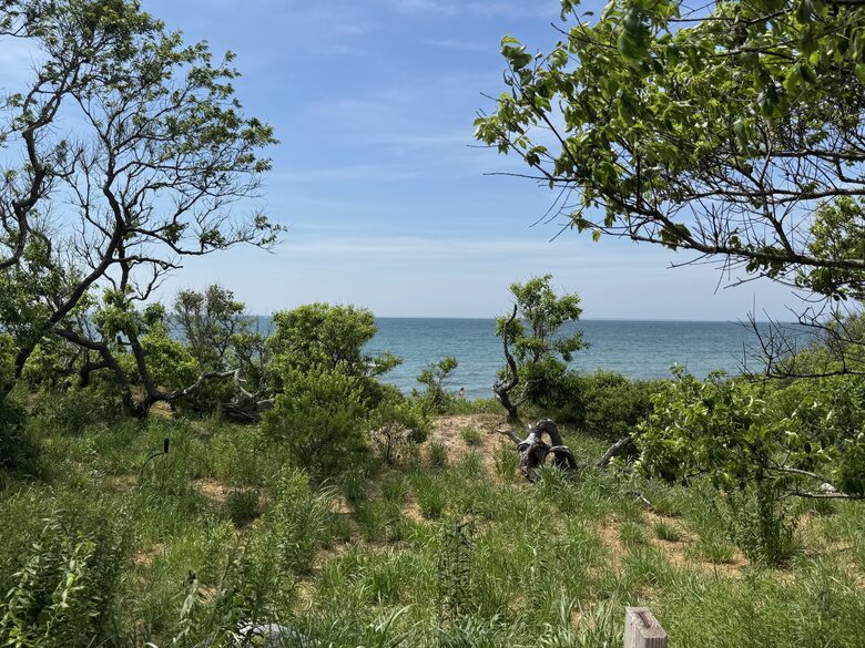 Cape Cod Elegance with Sunset Views over the Bay - Falmouth, Massachusetts