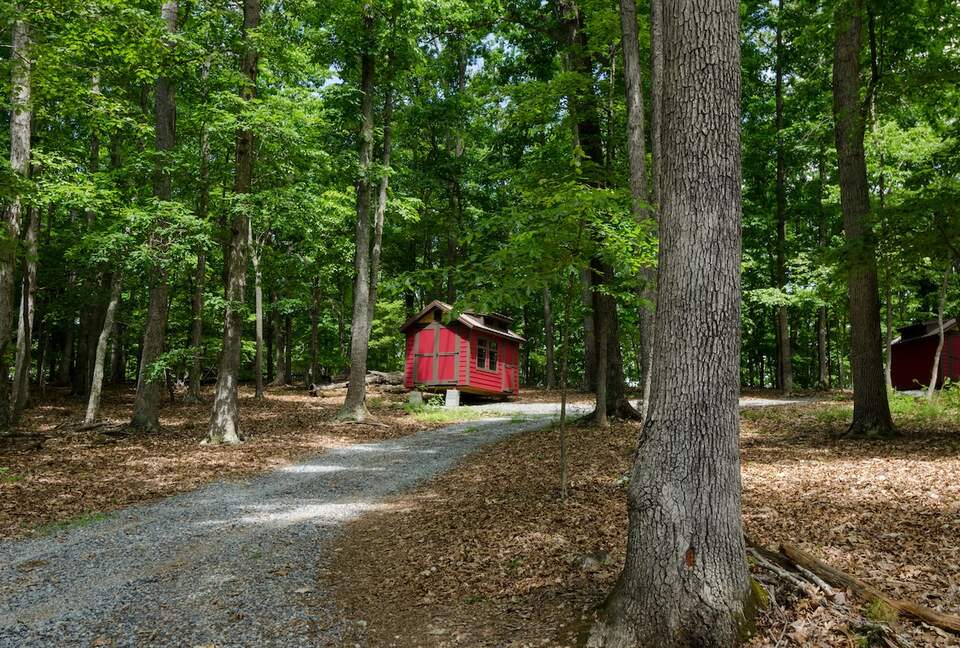 Architectural Retreat with Panoramic Views - Huddleston, Virginia