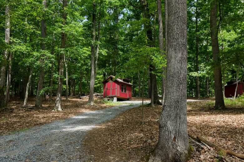 Architectural Retreat with Panoramic Views - Huddleston, Virginia
