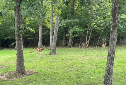 Peaceful Lake of the Ozarks Retreat with Wraparound Porch - Sunrise beach, Missouri