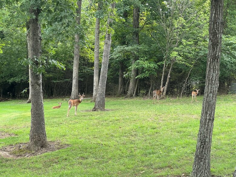 Peaceful Lake of the Ozarks Retreat with Wraparound Porch - Sunrise beach, Missouri