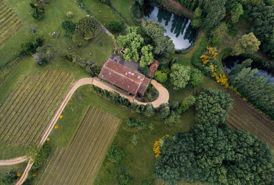 An Authentic Provençal Escape Among the Vineyards - Bonnieux, France