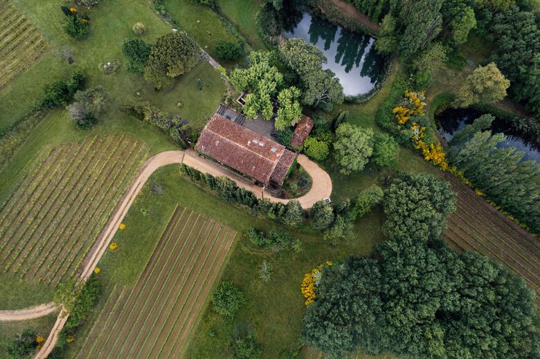 An Authentic Provençal Escape Among the Vineyards - Bonnieux, France