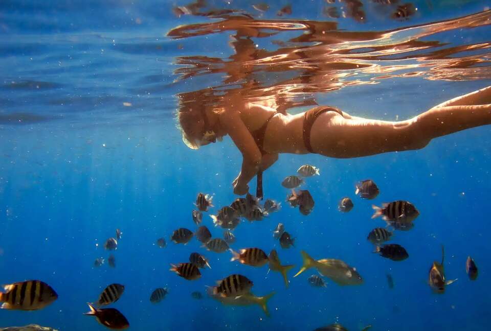 All-Inclusive 7-night TradeWinds AQUA Experience in British Virgin Islands on TW6e Catamaran with Crew - Tortola, Virgin Islands, British