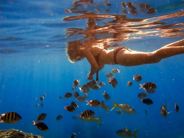 All-Inclusive 7-night TradeWinds AQUA Experience in British Virgin Islands on TW6e Catamaran with Crew - Tortola, Virgin Islands, British