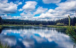 Inviting Central Oregon Escape - Sunriver, Oregon