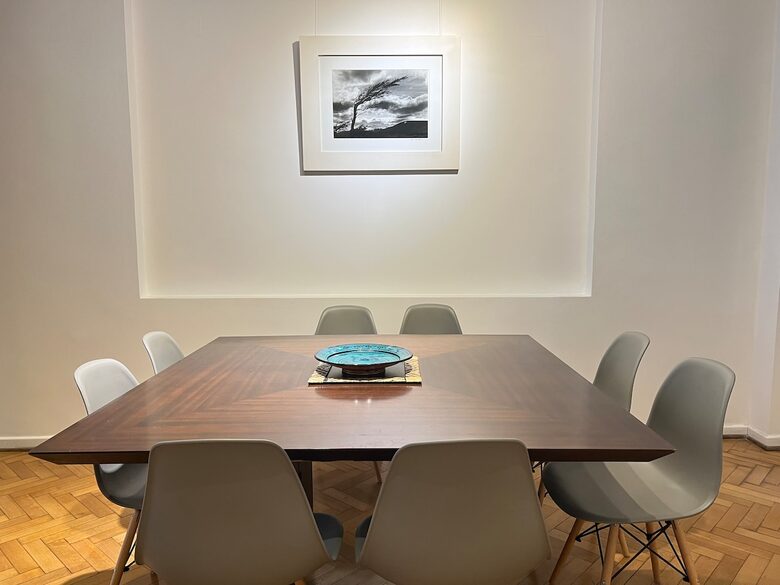 Charming 1950s Retreat with Sunroom & Garden in Retiro - Retiro, Argentina