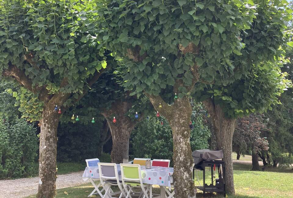 Refined Family Residence with Parkland and Pool in the Loire Valley - Loches, France