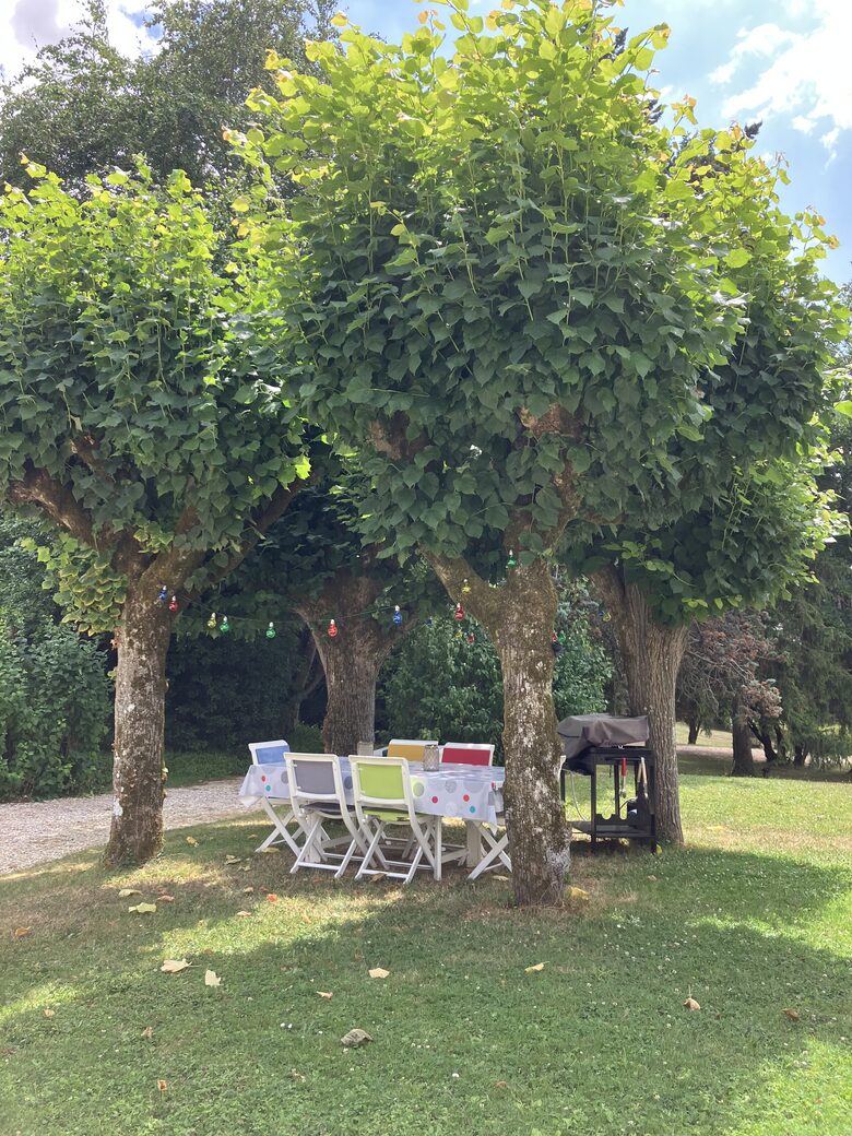 Refined Family Residence with Parkland and Pool in the Loire Valley - Loches, France