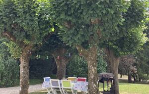 Refined Family Residence with Parkland and Pool in the Loire Valley - Loches, France