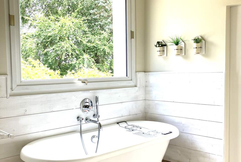 Refined Family Residence with Parkland and Pool in the Loire Valley - Loches, France